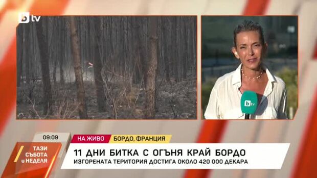 Снимка: 11 дни битка с огъня край Бордо