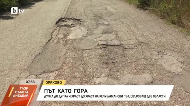 Снимка: Път като гора: Дупка до дупка и храст до храст