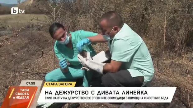 Снимка: Екип на bTV на дежурство със спешните зоомедици в помощ на животни в беда