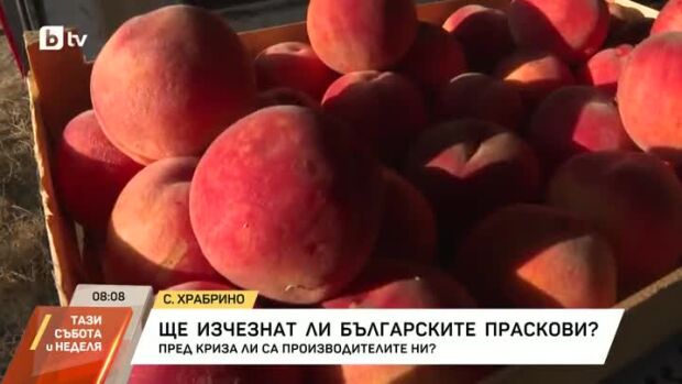 Снимка: Ще изчезнат ли българските праскови?