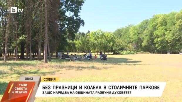 Снимка: Ще бъдат ли глобявани столичани за празнуване на детски рождени дни в парковете?