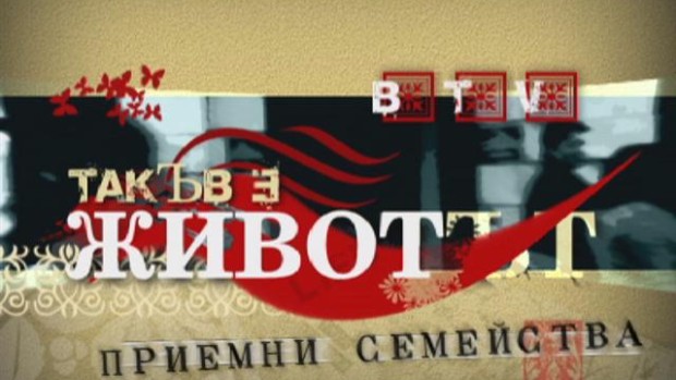 Снимка: Кое от приемните семейства стана ваш любимец?