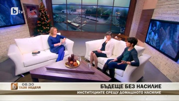 Снимка: Институциите срещу домашното насилие