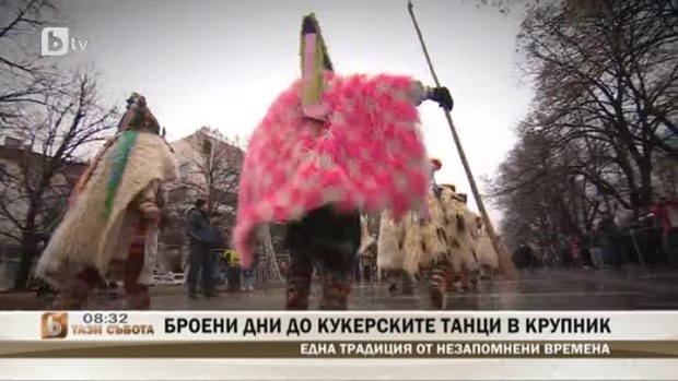 Снимка: Броени дно до кукерските танци в Крупник