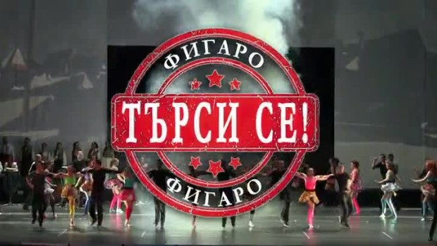 Снимка: Търси се Фигаро - с медийната подкрепа на bTV Lady