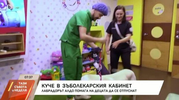 Снимка: Куче в зъболекарския кабинет