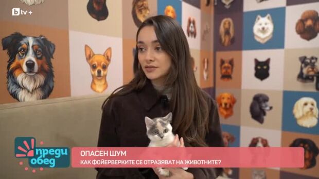 Снимка: Опасен шум: Как фойерверките се отразяват на животните?