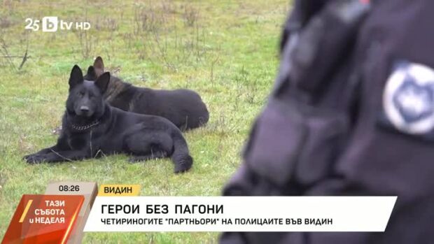 Снимка: Герои без пагони