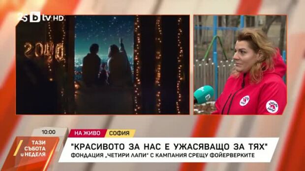 Снимка: Фондация "Четири лапи" с кампания срещу фойерверките