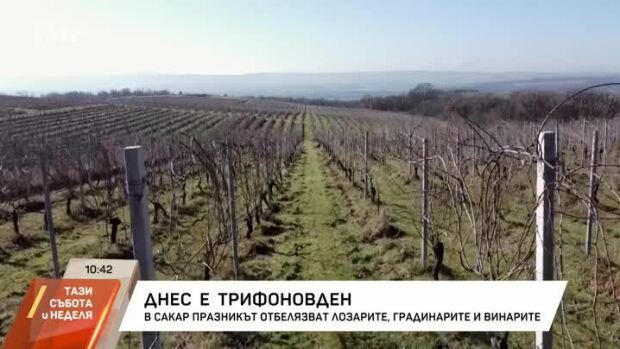 Снимка: Днес е Трифоновден