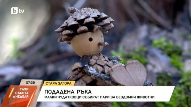 Снимка: "Малки чудатковци" събират пари за бездомни животни