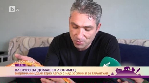 Снимка: Влечуго за домашен любимец