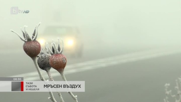 Снимка: Какво ни причинява мръсният въздух?