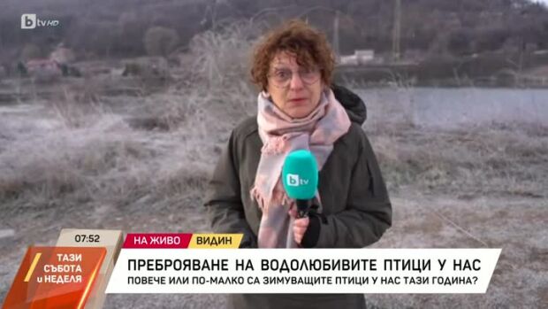 Снимка: Преброяване на водолюбивите птици у нас