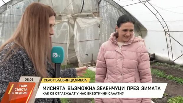 Снимка: Мисията възможна: зеленчуци през зимата