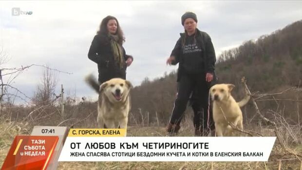 Снимка: Жена спасява стотици бездомни кучета и котки