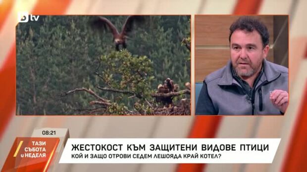 Снимка: Лешоядите стават косвени жертви на човека
