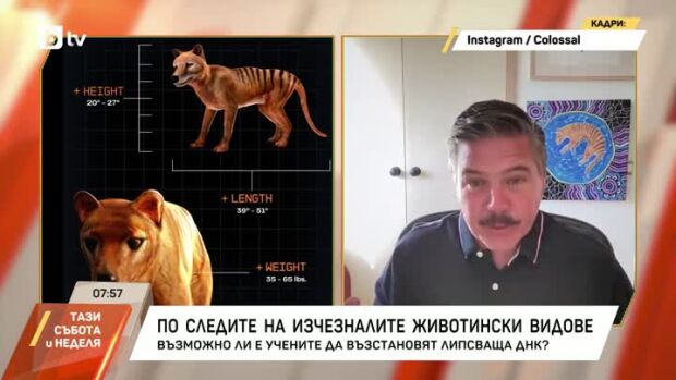 Снимка: Възкресяване на изчезнали видове