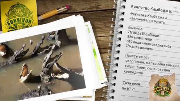Снимка: Кратък наръчник за оцеляване в Камбоджа