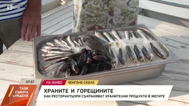 Снимка: Как ресторантьори съхраняват рибата в жегата?