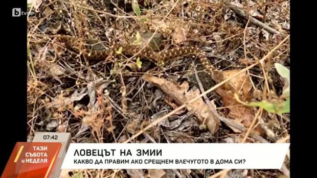 Снимка: Среща с ловеца на змии