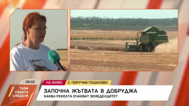 Снимка: Започна жътвата в Добруджа