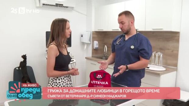 Снимка: Как да се грижим за домашните любимци в горещото време?