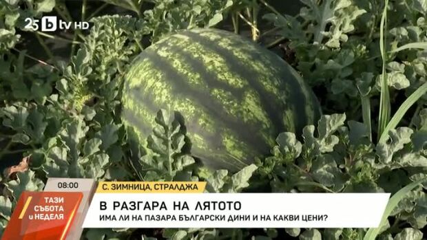 Снимка: Каква е цената на динята?