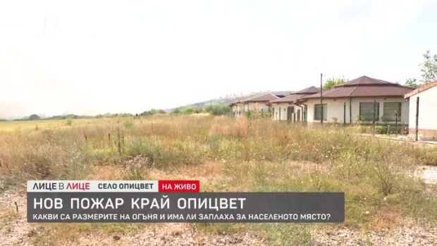Снимка: Нов пожар край Опицвет