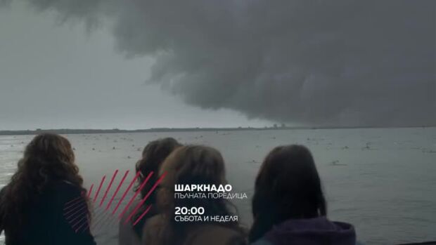Снимка: "Шаркнадо" събота и неделя от 20 ч. по bTV Action