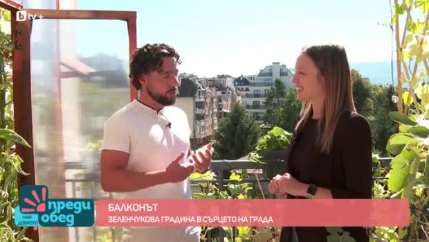 Снимка: Трудно ли се отглеждат домати на балкона?