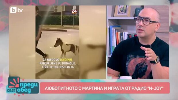 Снимка: Говорим за... Пони, теле и патица