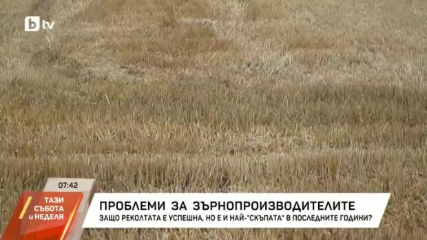 Снимка: Проблеми за зърнопроизводителите