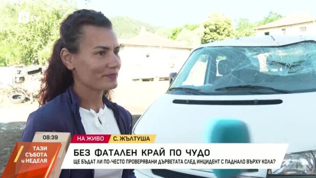 Снимка: Дърво падна върху движещ се автомобил
