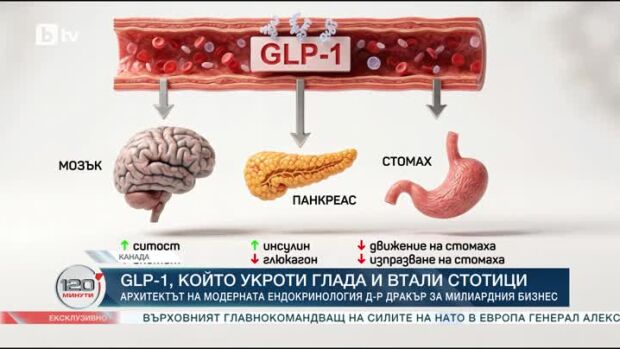 Снимка: GLP-1 - хормонът, който укроти глада и втали стотици
