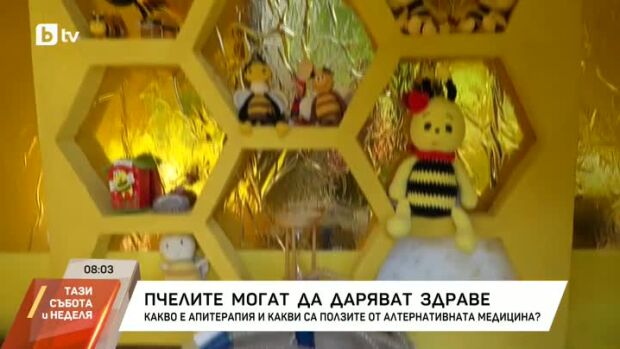 Снимка: Как пчелна ферма у нас лекува с кошерен въздух?