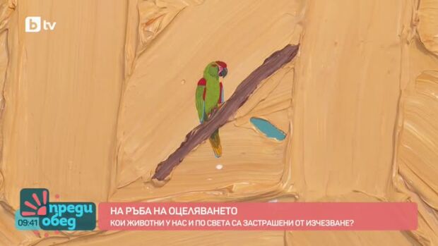 Снимка: Кои животни у нас и по света са застрашени от изчезване?