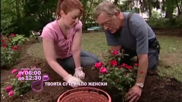 Снимка: Твоята сутрин по женски само с bTV Lady