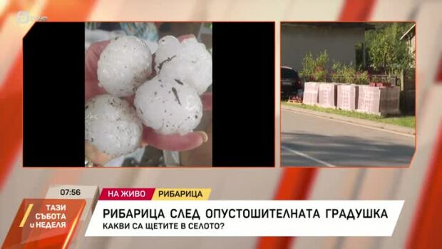 Снимка: Какви са щетите в Рибарица след градушката?