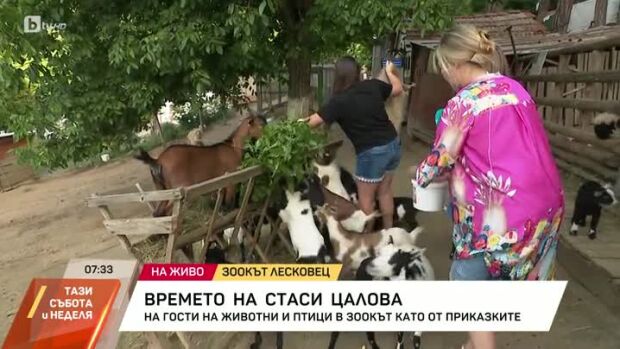 Снимка: Стаси Цалова на гости в "Зоокът Лесковец"