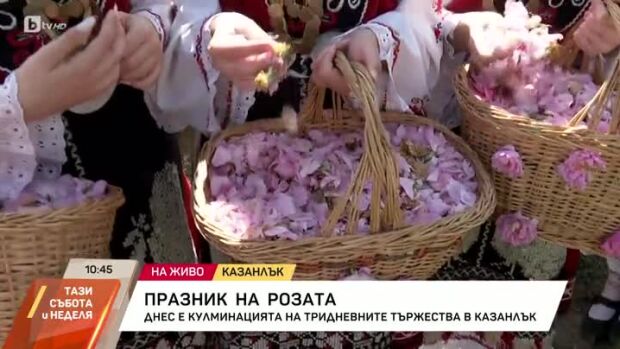 Снимка: Празник на розата