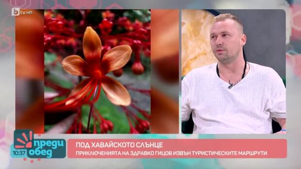 Снимка: Приключенията на Здравко Гицов извън туристическите маршрути