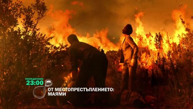 Снимка: Гледайте "От местопрестъплението: Маями" понеделник от 23 ч. по bTV
