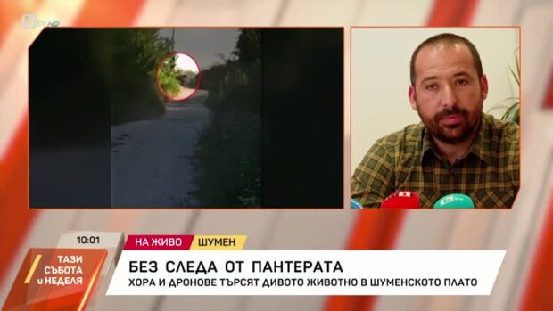 Снимка: Без следа от пантерата