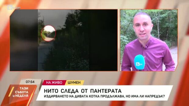Снимка: Продължава издирването на хищника в Шумен