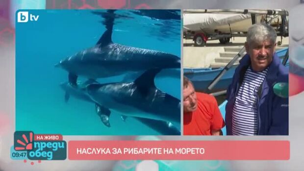 Снимка: На морето: Рибари и делфини в конкуренция за рибата