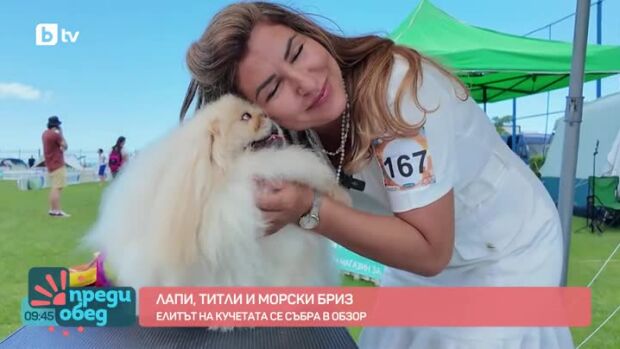 Снимка: Лапи, титли и морски бриз; Елитът на кучетата се събра в Обзор