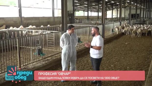 Снимка: Професия овчар: За какво да внимаваме, когато избираме млечни продукти?