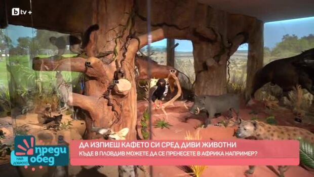 Снимка: Да си пиеш кафето сред диви животни...
