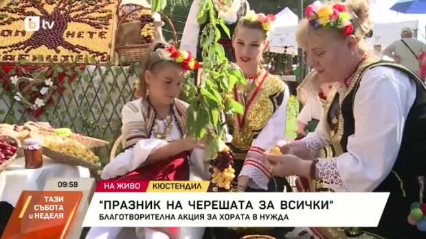 Снимка: Празник на черешата в Кюстендил